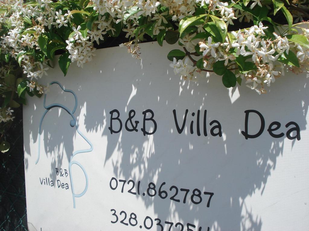 Villa Dea 法诺 外观 照片